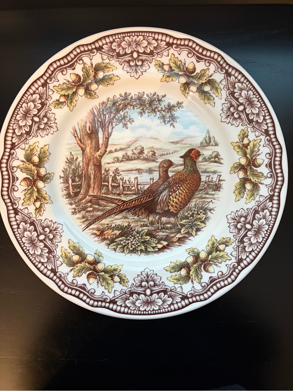 Decorative Pheasant Dinner Plate in Brown and Green